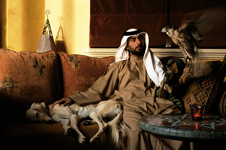 United Arab Emirates. Dubai. Hawk breeder