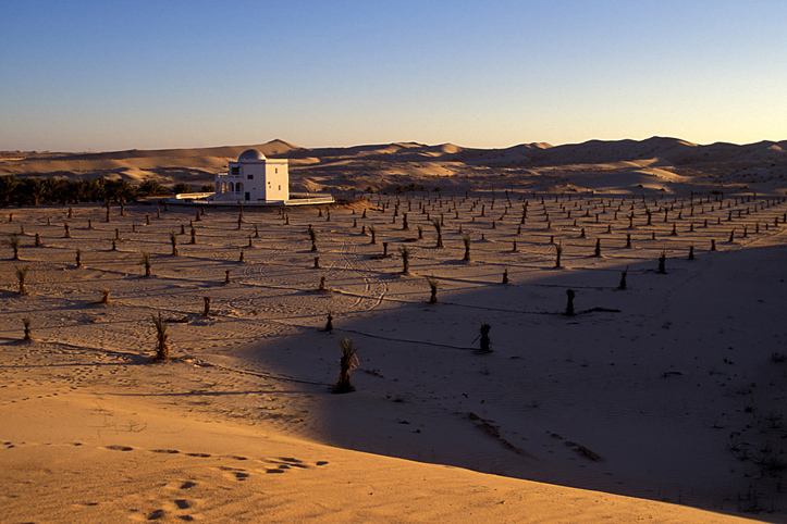 Algeria. El Oued. Pilot farm Daouia