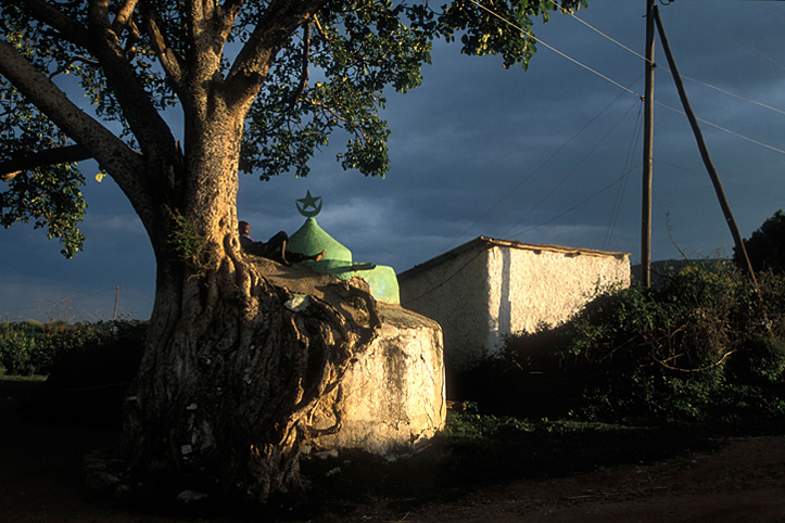 Ethiopia. Harar. Nap on a tomb