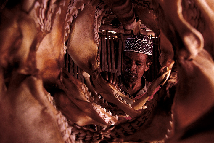 Kenya. Lamu. Shop of shark jaws