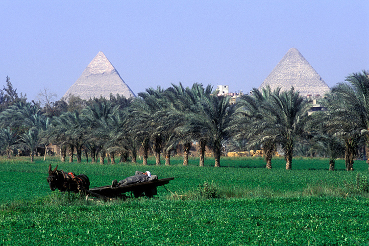 Egypte. Le Caire. Repos sous les pyramides de Gizeh